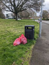 Litter pick bags