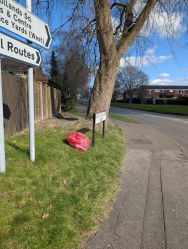 March litter pick